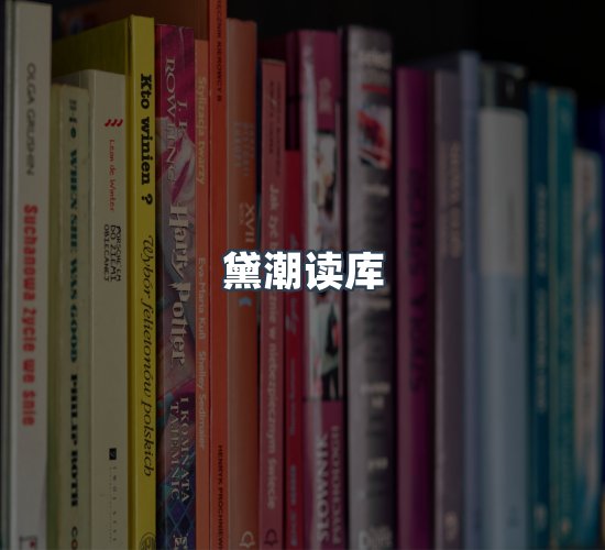 关于黛潮读库